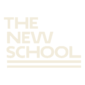 The New School (Nova York)
