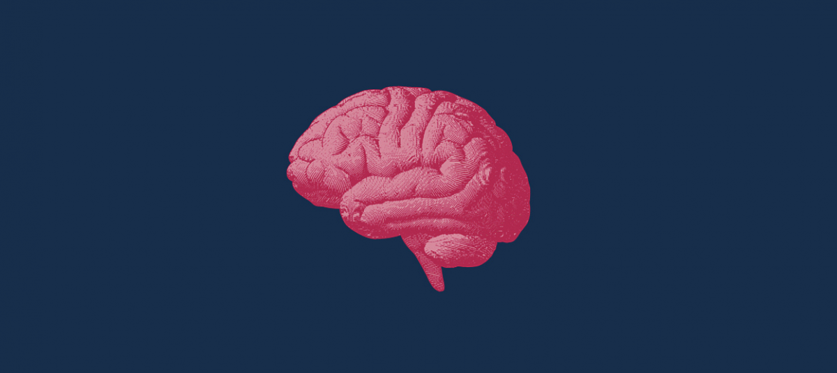 ilustração de um cérebro
